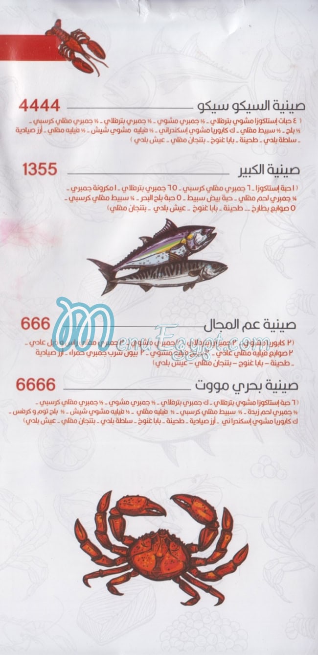 بحري مووت مصر الخط الساخن