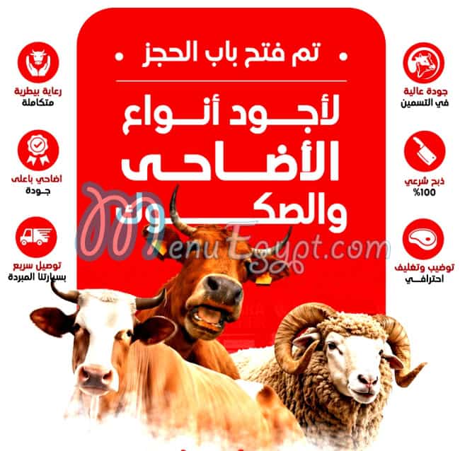 مطعم بركة للحوم البلدي مصر