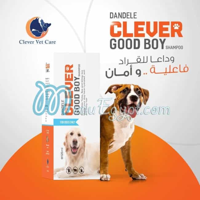 Blue pets club egypt