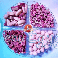 Bolbol delivery menu