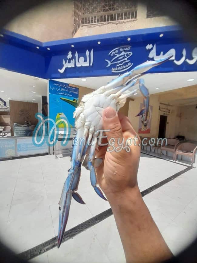 مطعم بورصة العاشر مصر