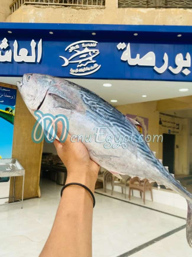 بورصة العاشر مصر الخط الساخن