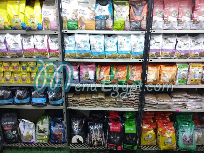 باجي  بيت شوب مصر الخط الساخن