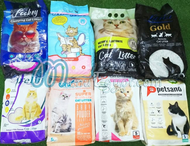 رقم باجي  بيت شوب مصر