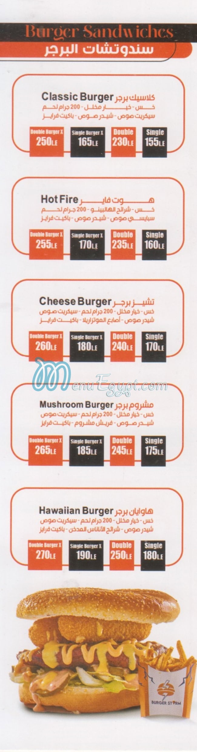 Burger Storm delivery menu