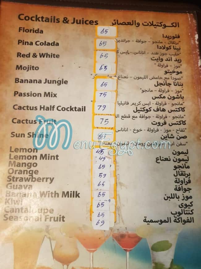 Cactus Restaurant And Cafe menu Egypt 2