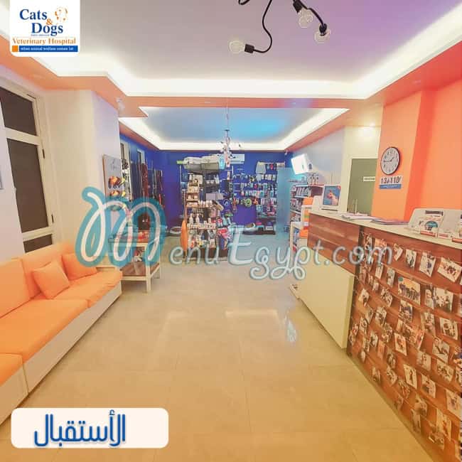 مستشفى بيطري للقطط والكلاب مصر الخط الساخن
