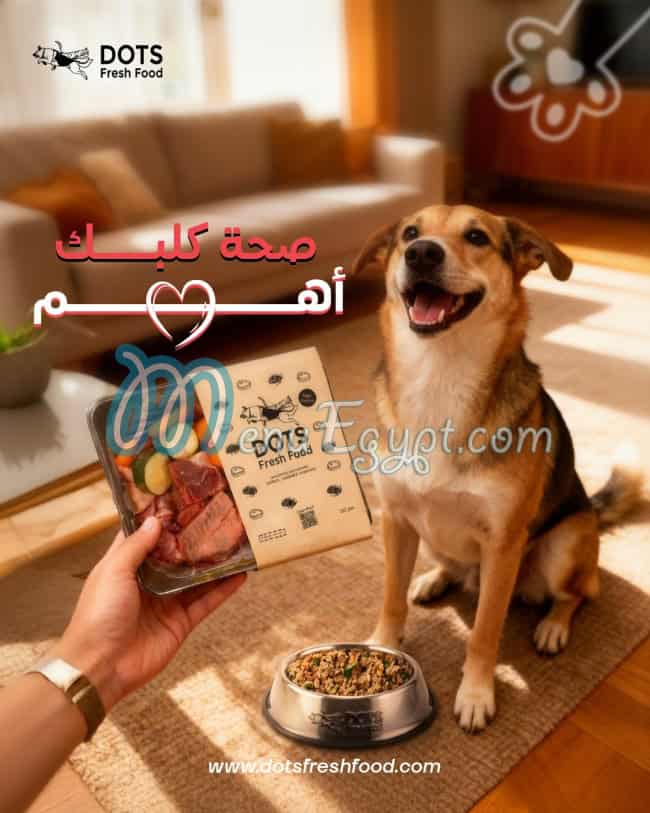 دوتس فريش فوود مصر منيو بالعربى