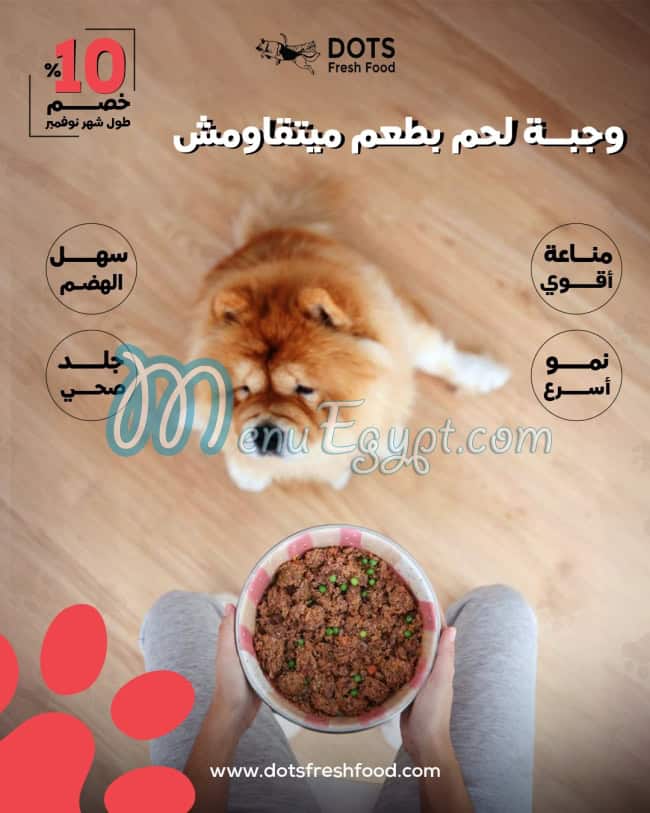دوتس فريش فوود مصر
