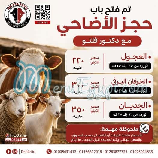 رقم دكتور فلتو مصر