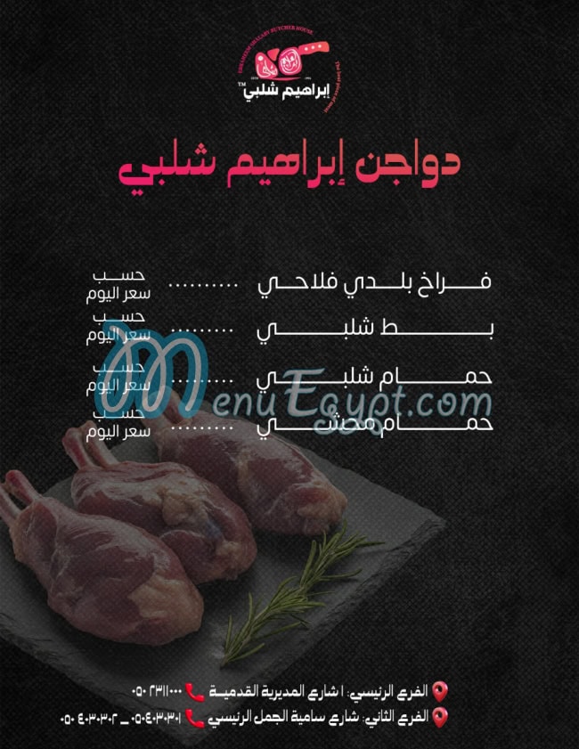 ابراهيم شلبي مصر