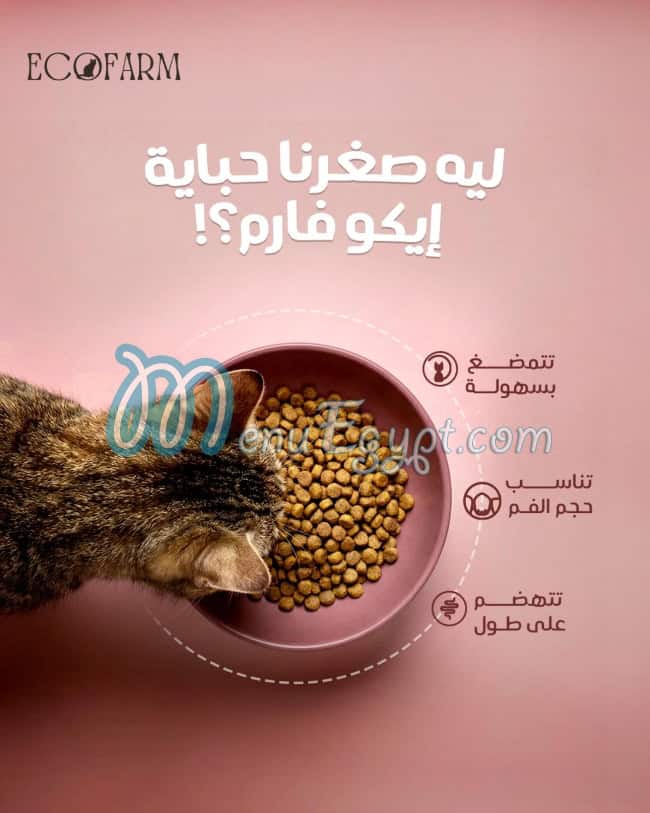مطعم ايكو فارم مصر