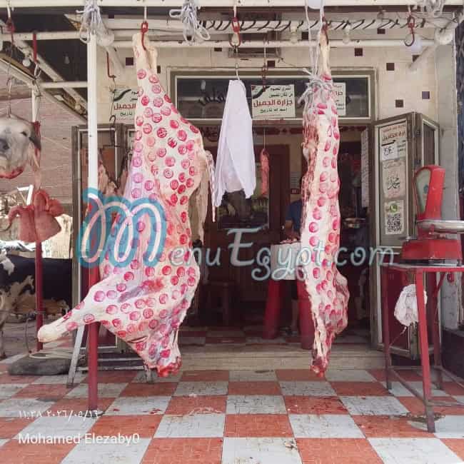 جزارة الجميل مصر الخط الساخن