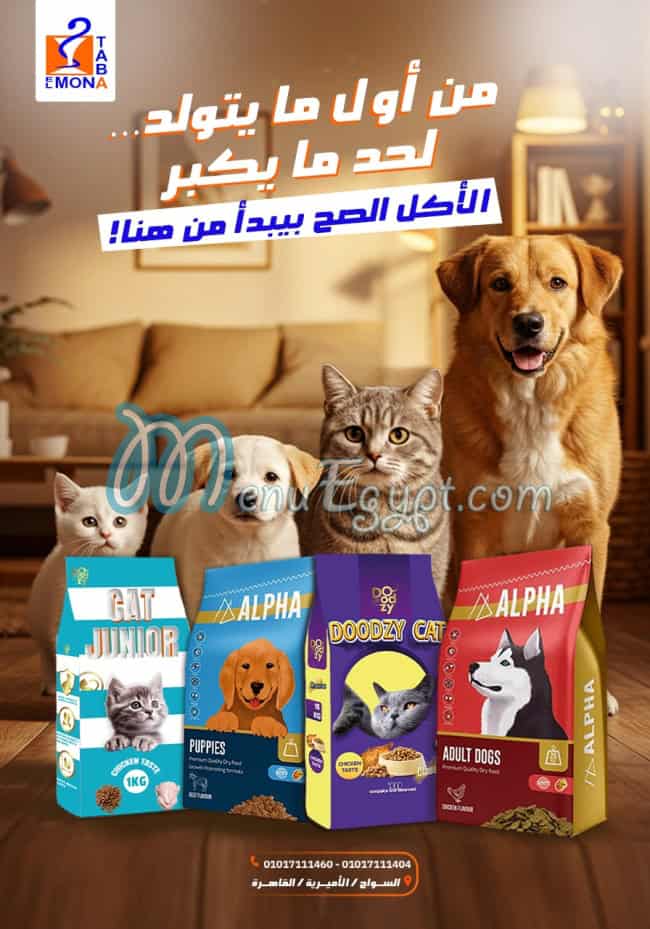 المنى وطابا مصر