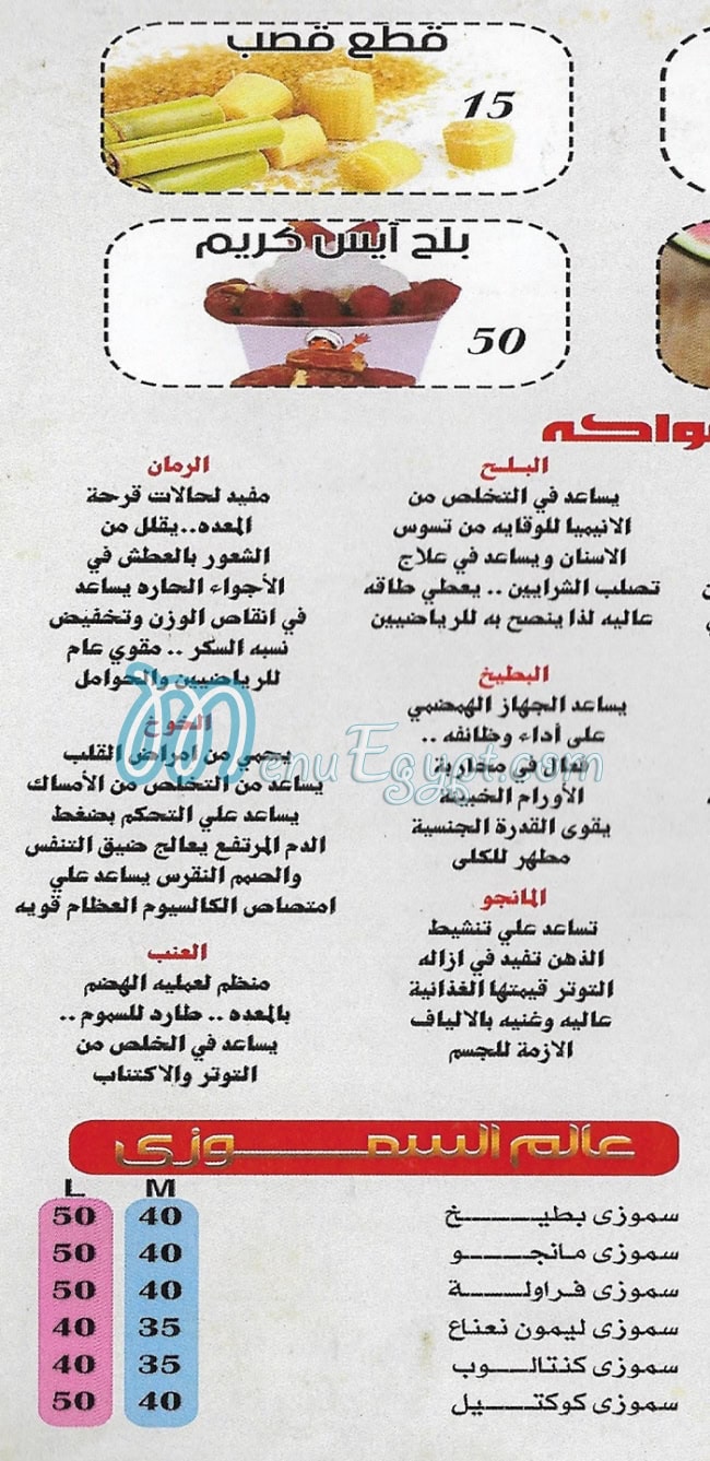 عصائر السندباد مصر