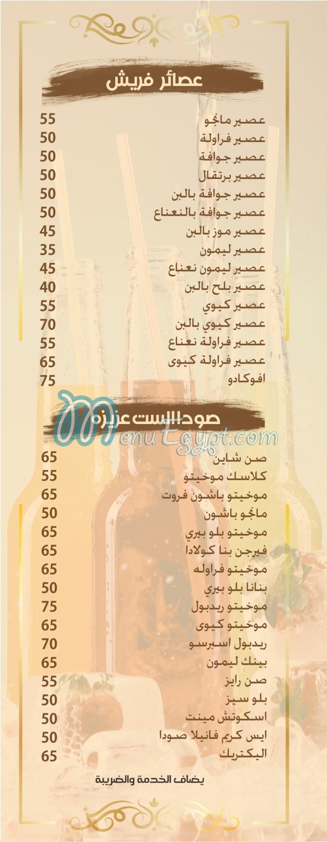 أسعار الست عزيزه مصر