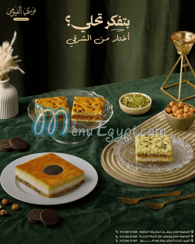 منيو فوزي الفيومي مصر 2