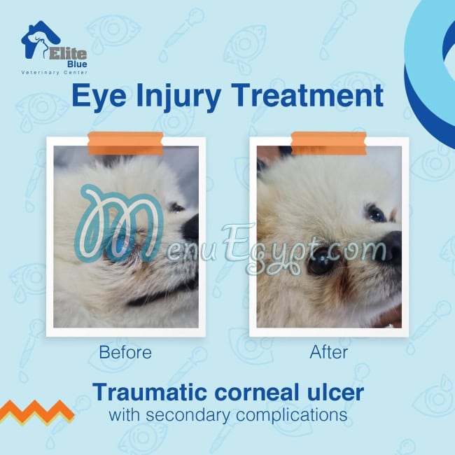 منيو إيليت بلو مصر