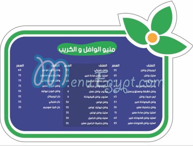 El Madina El Menawara menu Egypt 3