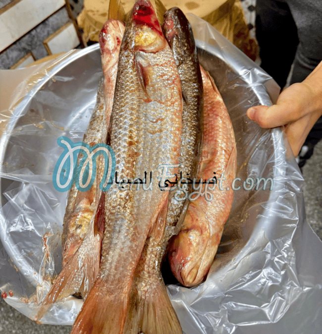 Fasakhany El Sayad egypt