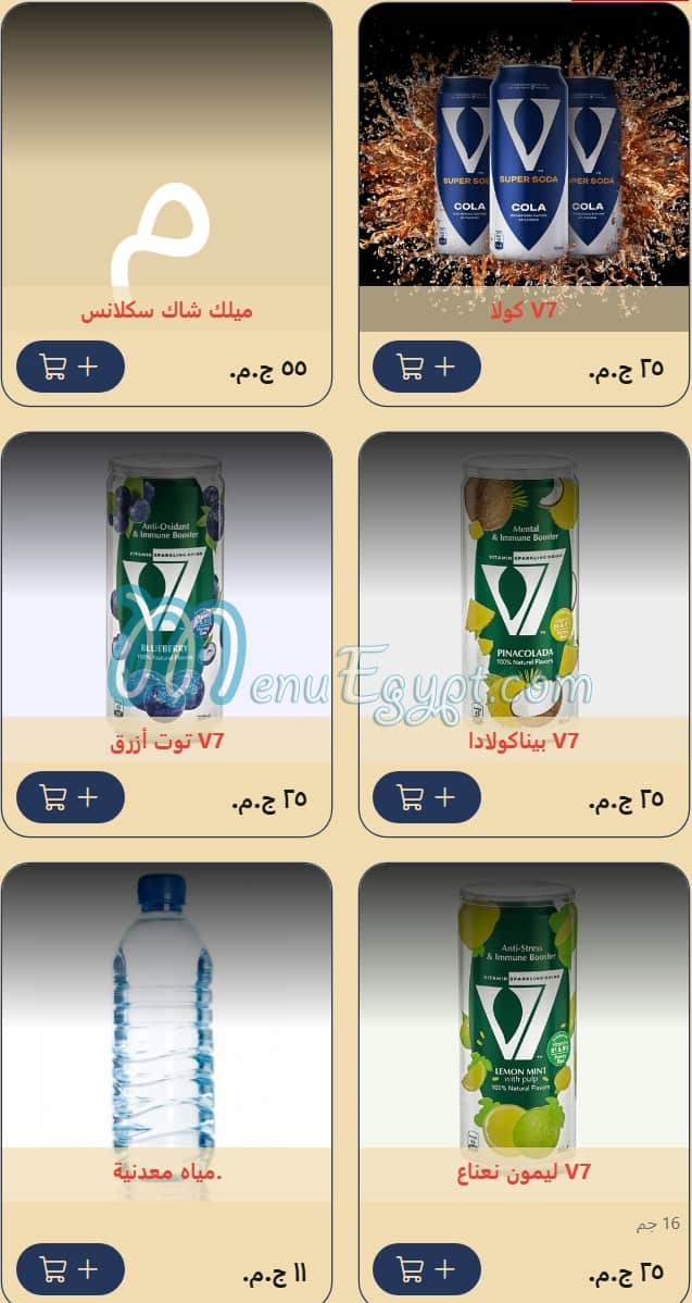 Fill Fino egypt