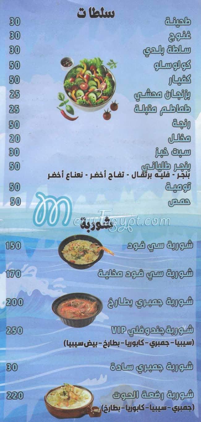 مطعم جندوفلي  مدينتي مصر