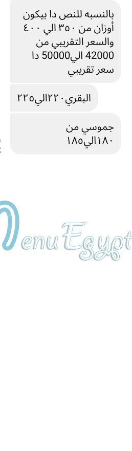 Gezaret Adel Al Sharqawy egypt