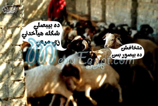 منيو جزارة السروجي مصر