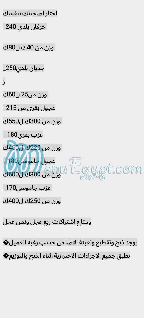 جزارة اولاد شلبي 3 مصر الخط الساخن