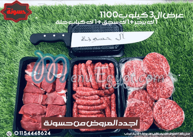 Gezaret Hassona egypt