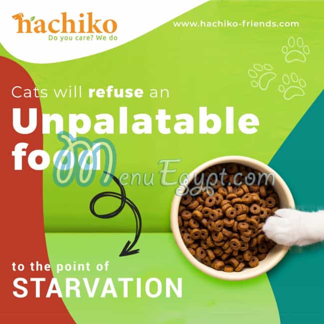 هاتشيكو فريندز مصر الخط الساخن