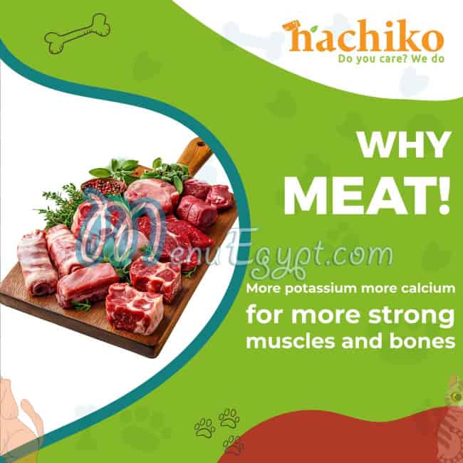 رقم هاتشيكو فريندز مصر