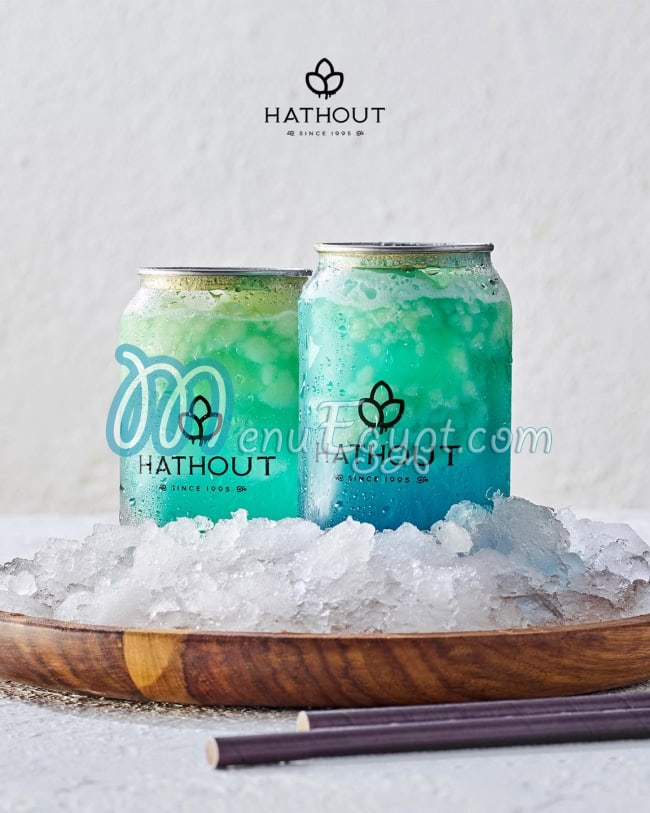 Hathout menu Egypt 12