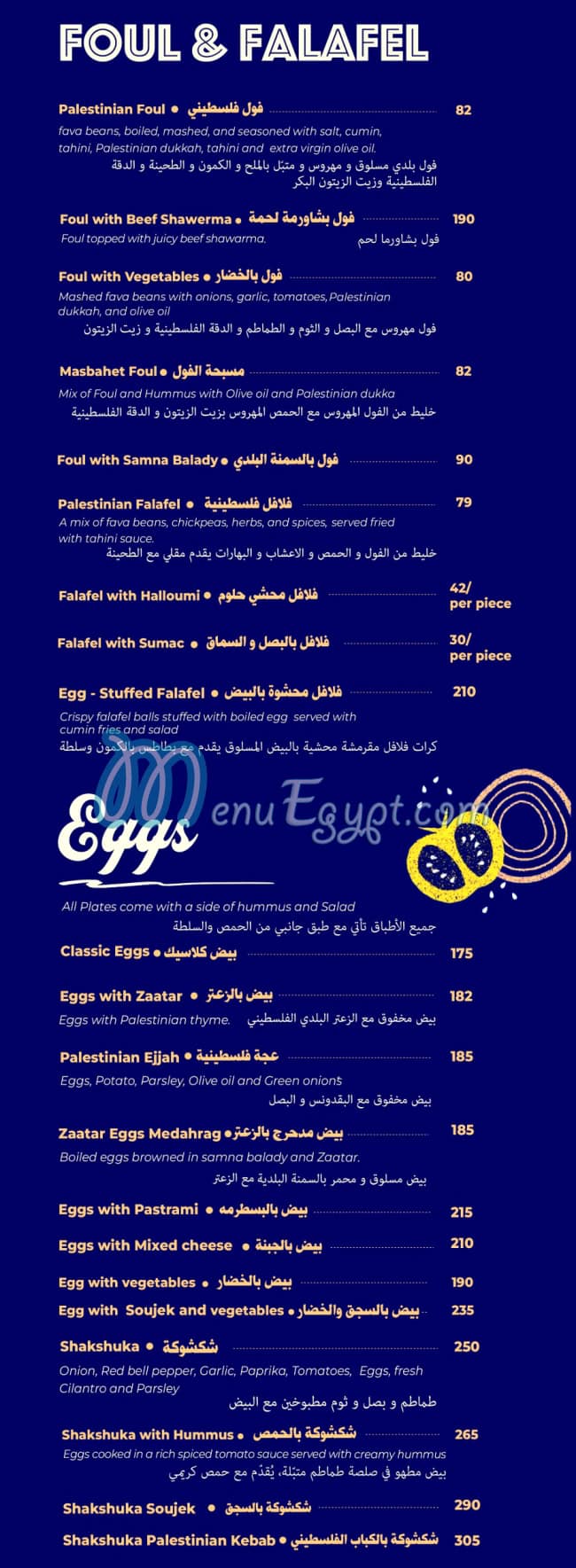 Homos N Go egypt