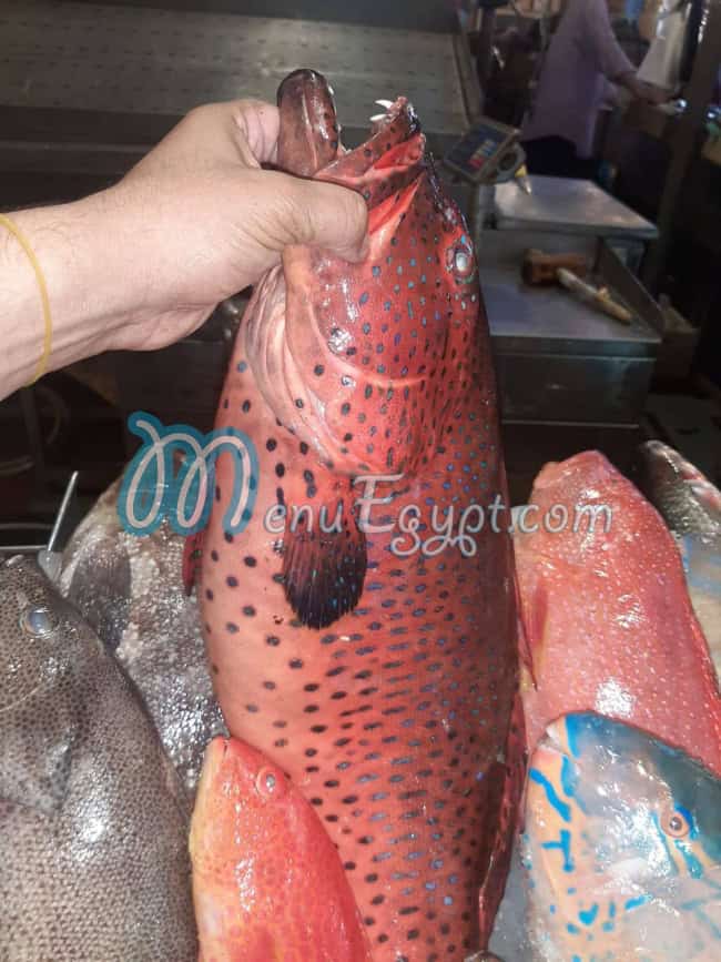 منيو اسماك المدينة المنورة - اسماك سلطان مصر 5
