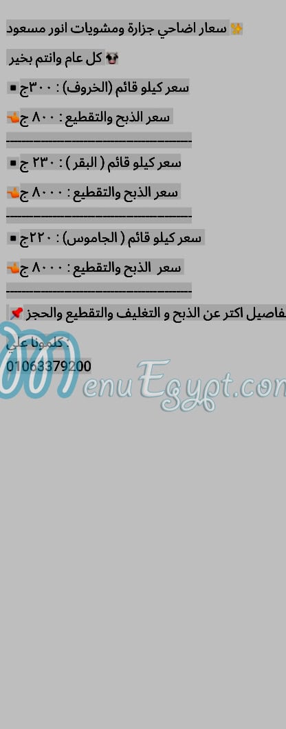 رقم جزارة الحاج انور مسعود مصر