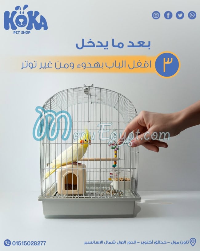 Koka Pet Shop online menu