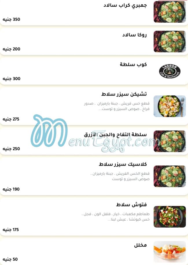 لاجوون مصر الخط الساخن