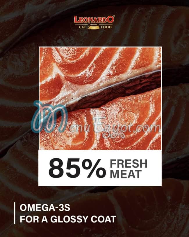 منيو ليوناردو مصر