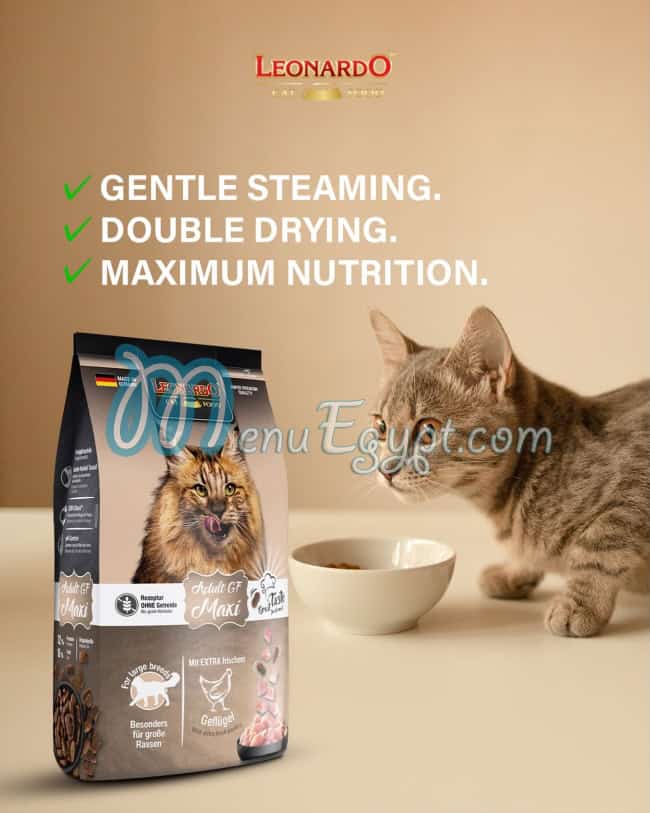 منيو ليوناردو مصر مصر