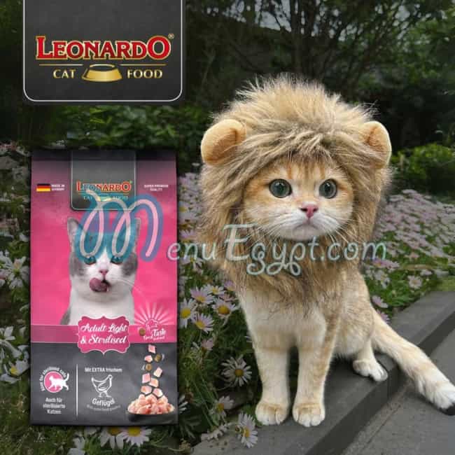 مطعم ليوناردو مصر مصر