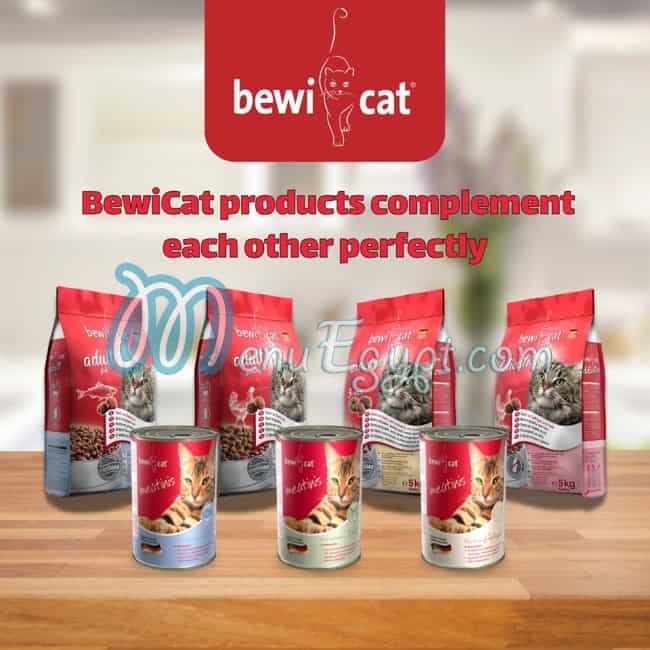 ليوناردو مصر مصر منيو بالعربى