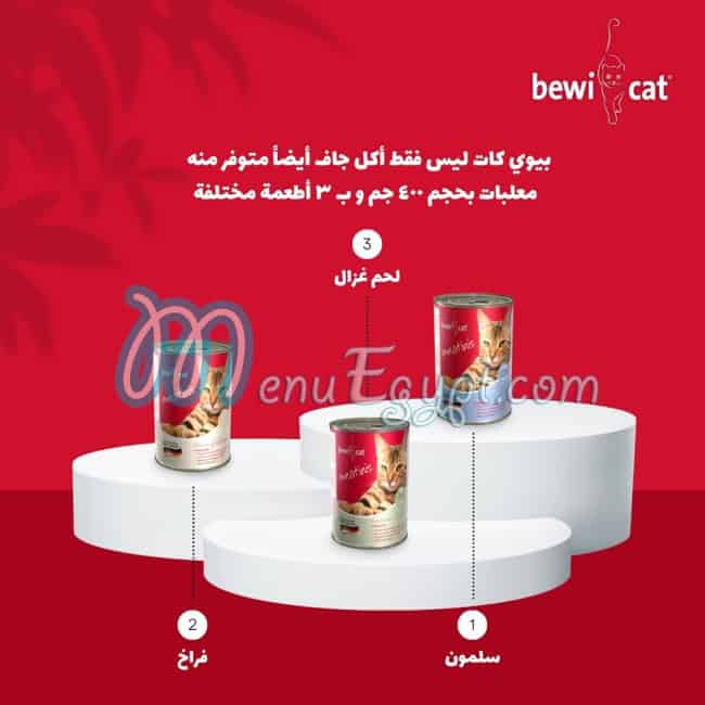 ليوناردو مصر منيو