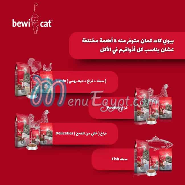 رقم ليوناردو مصر مصر