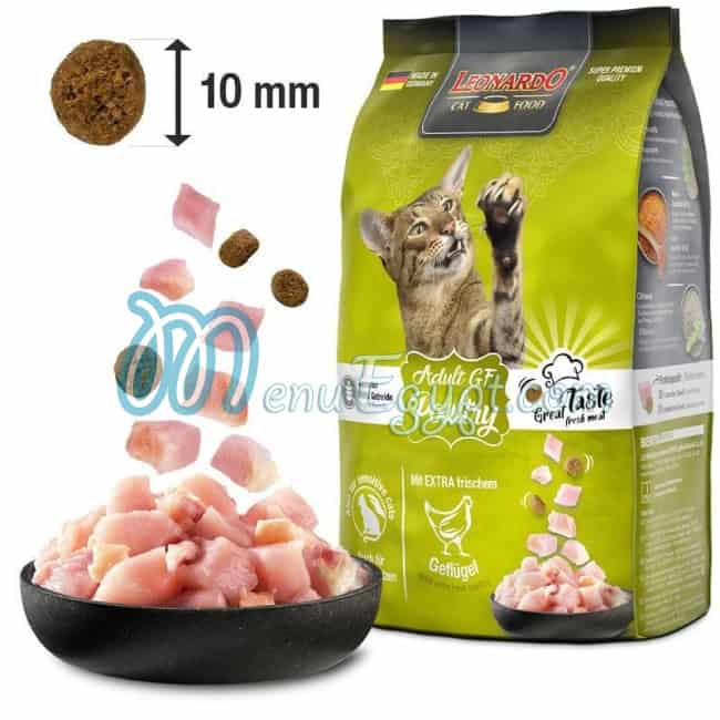 أسعار ليوناردو مصر مصر