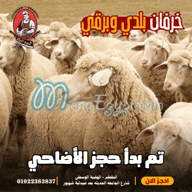 لحوم البركه مصر منيو بالعربى