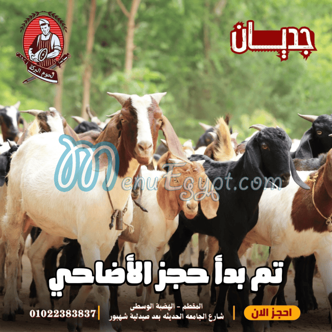 لحوم البركه مصر الخط الساخن