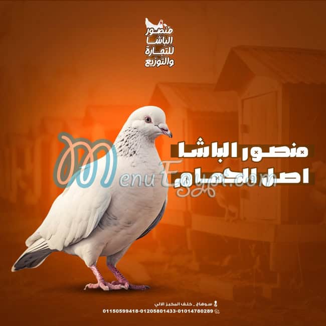 Mansour Basha egypt