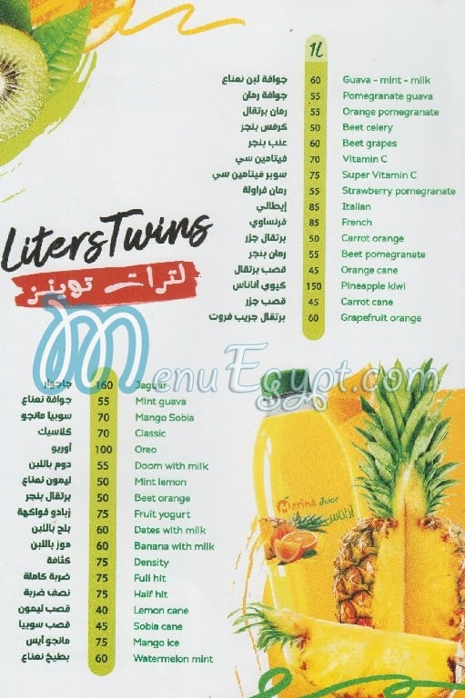 Marina Juice menu Egypt