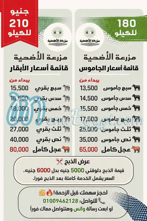 منيو مزرعة الأضحية